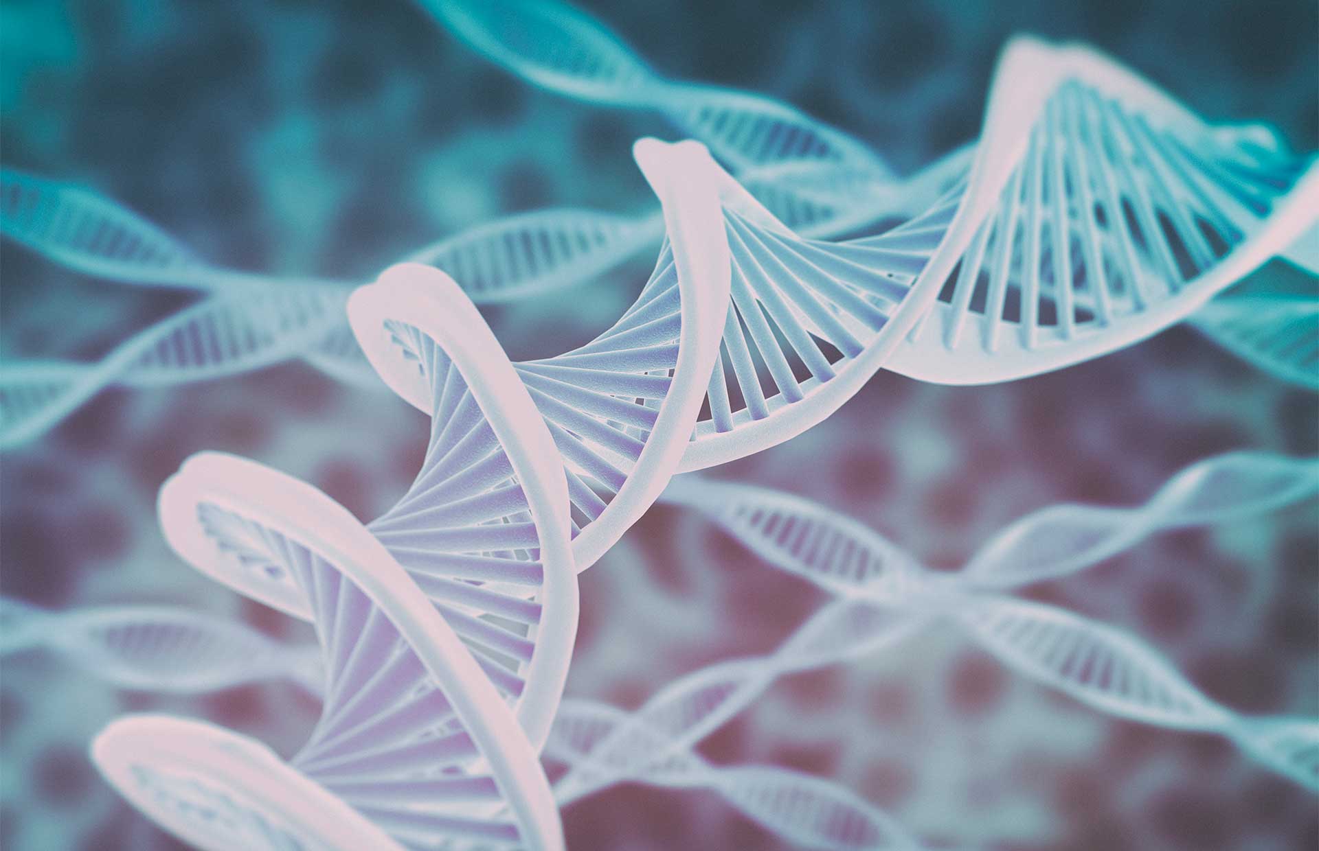 Photo of Исследования в области генетики