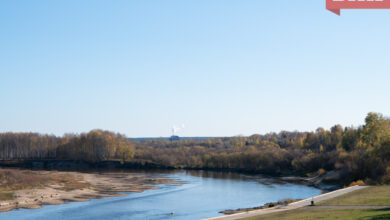 Photo of Словения: главные события в экологии