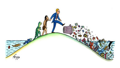 Photo of Канада: обзор новостей о климатических изменениях