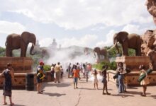 Photo of Южная Африка: обзор экологической ситуации