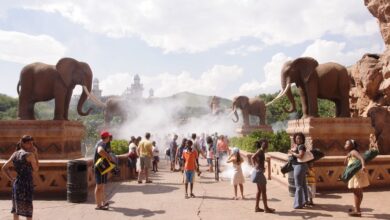 Photo of Южная Африка: обзор экологической ситуации