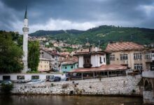 Photo of Босния и Герцеговина: последние новости о спорте