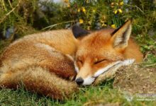 Photo of Португалия: последние новости о туризме