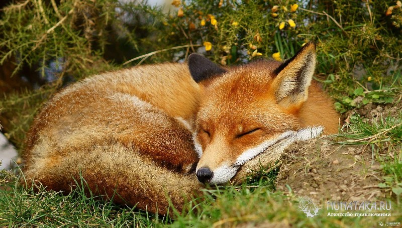 Фото 21 — Португалия: последние новости о туризме