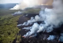 Photo of Бразилия: последние новости о лесных пожарах